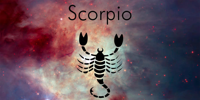 Scorpio 2019 Annual Forecast | Georgia Nicols