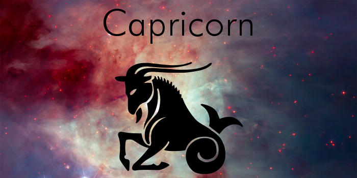 Capricorn Forecast for 2011 | Georgia Nicols